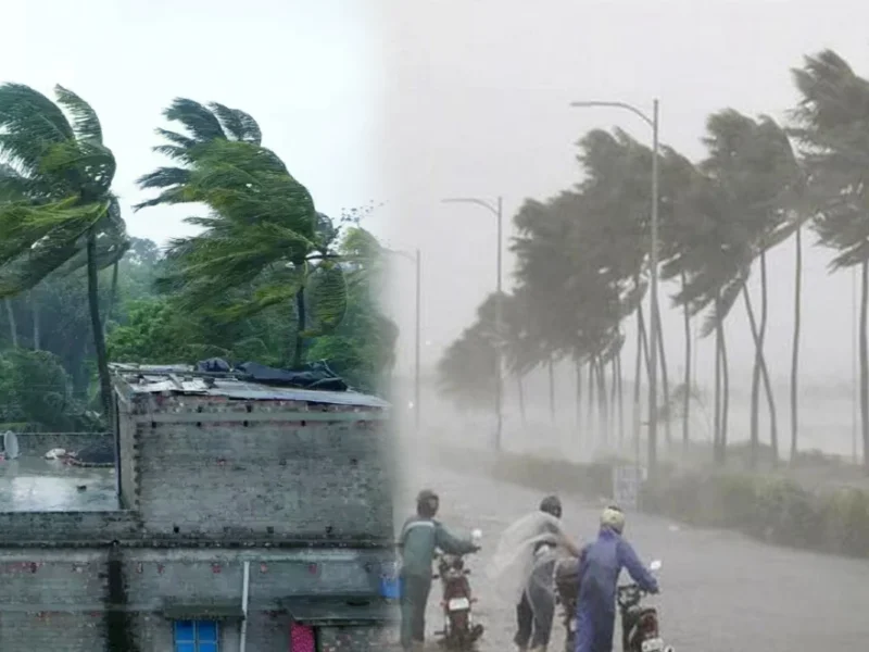 Rain in Bihar